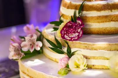 Piekarnia Cukiernia Konopki - sklep firmowy ul. Wojska Polskiego 43/2